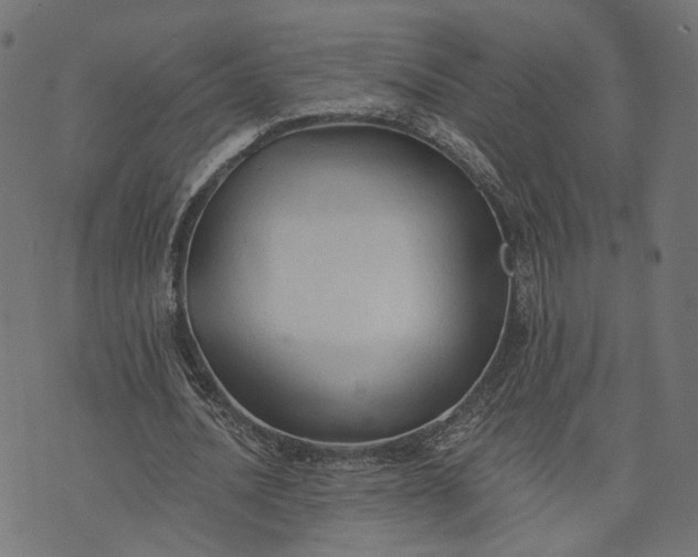 X0000073760628200608171357