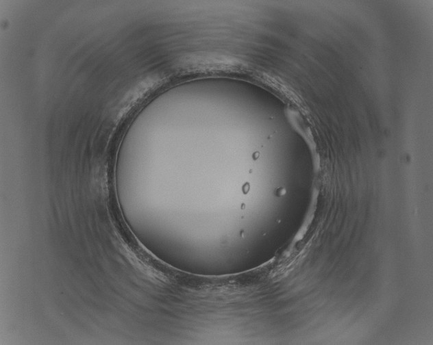 X0000073760629200608171357