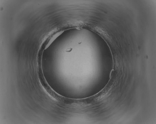 X0000073760630200608171357