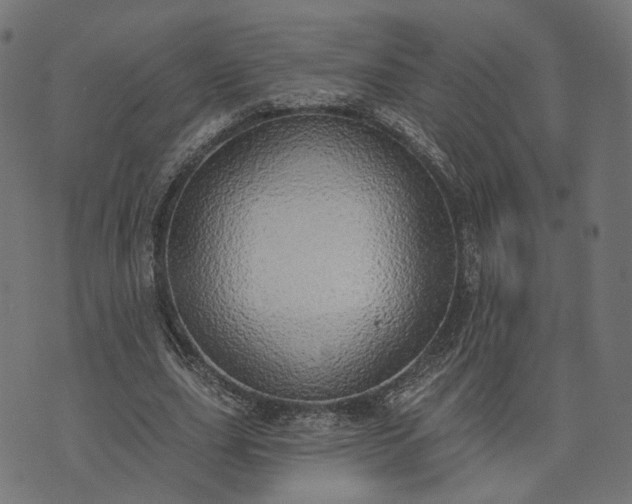 X0000073760631200608171357