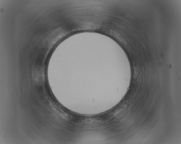 X0000073760632200608171357