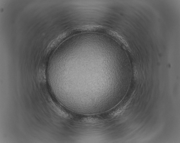 X0000073760633200608171357