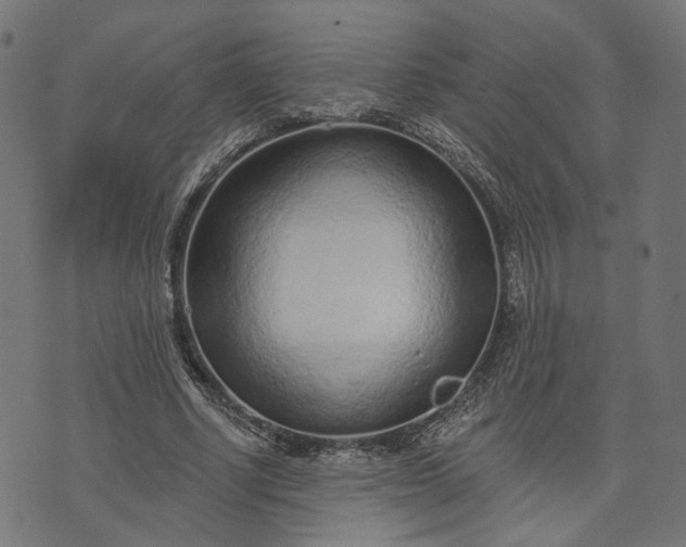 X0000073760634200608171357