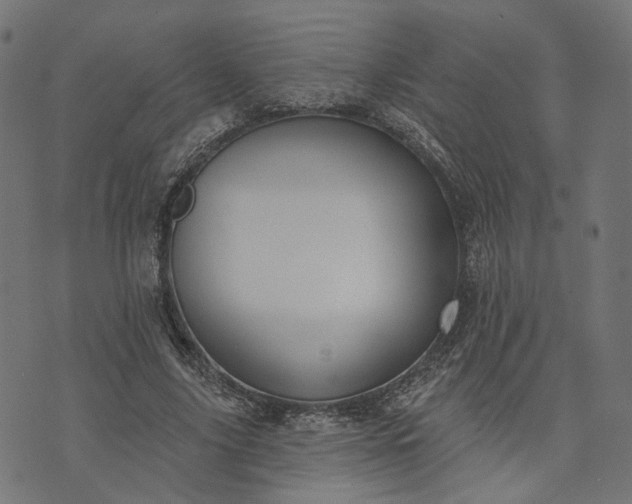 X0000073760635200608171357