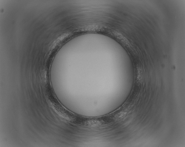 X0000073760636200608171357