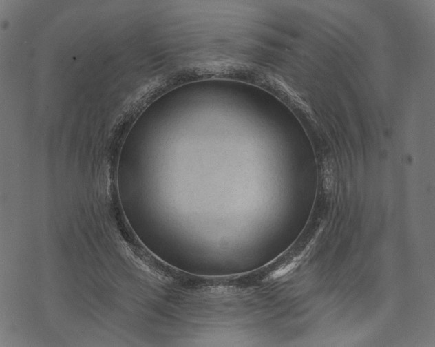 X0000073760637200608171357