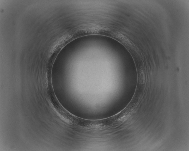 X0000073760638200608171357