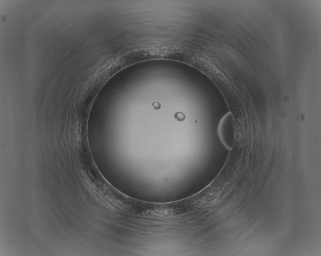 X0000073760639200608171357