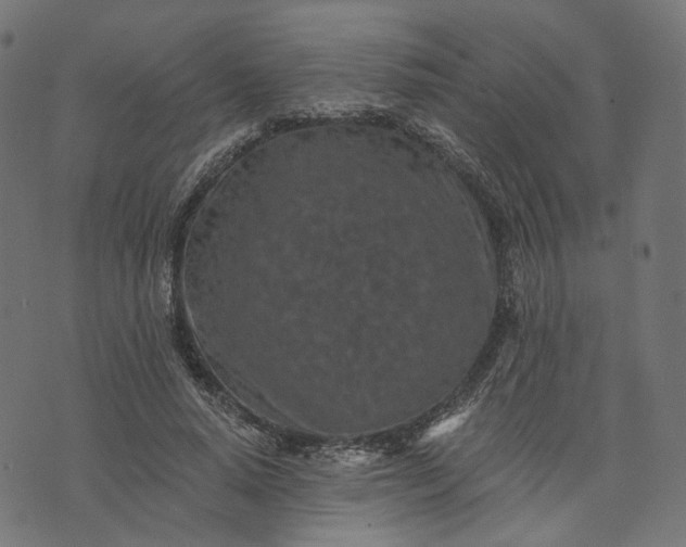 X0000073760640200608171357