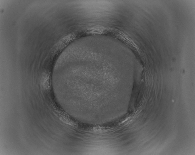 X0000073760641200608171357