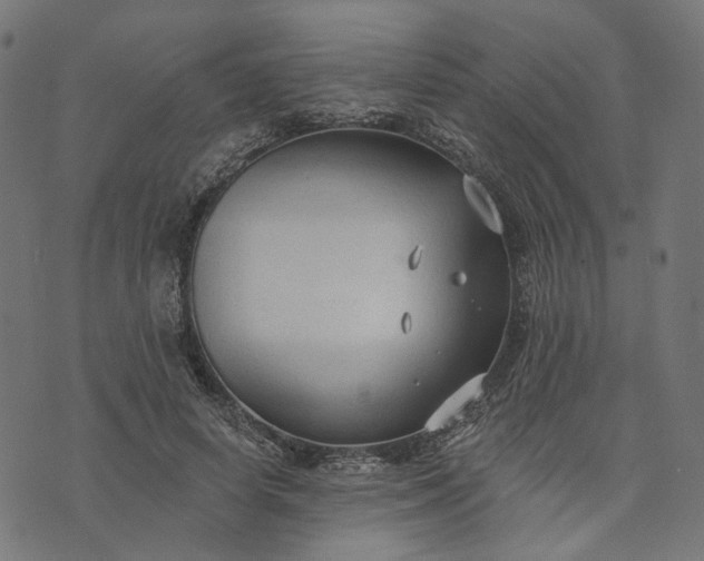 X0000073760642200608171357