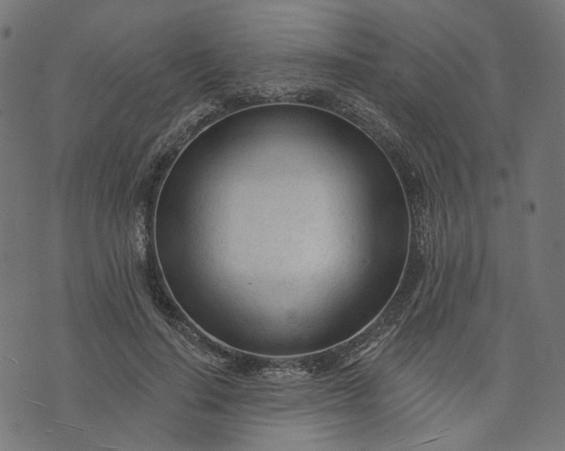 X0000073760644200608171357