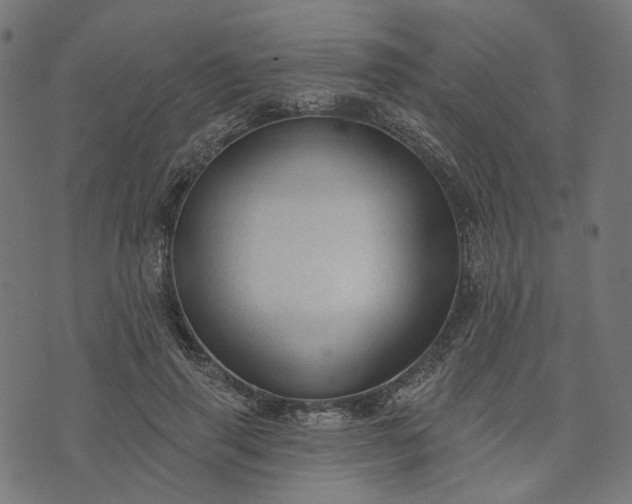 X0000073760645200608171357