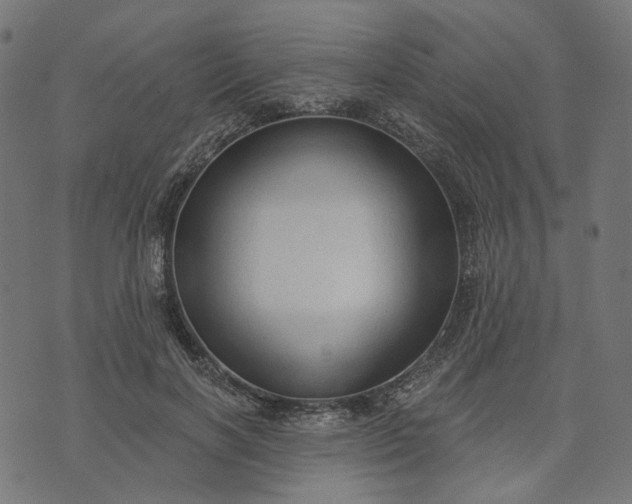 X0000073760646200608171357