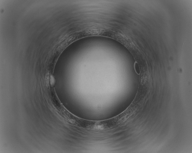 X0000073760647200608171357