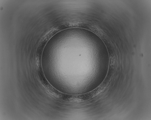 X0000073760648200608171357