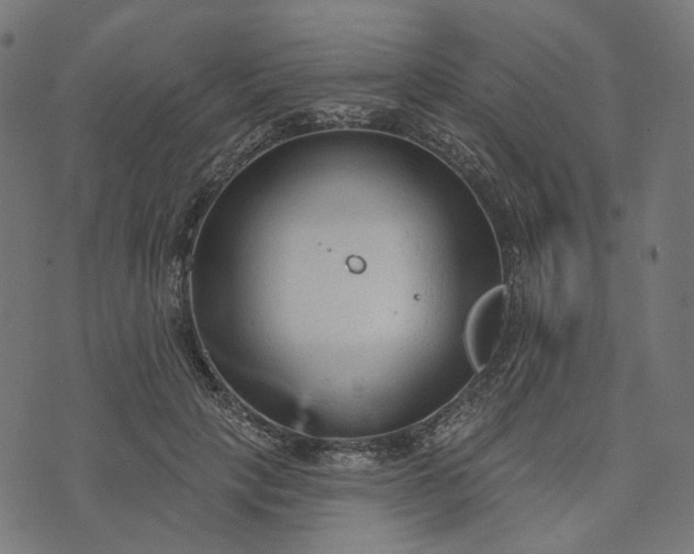 X0000073760649200608171357