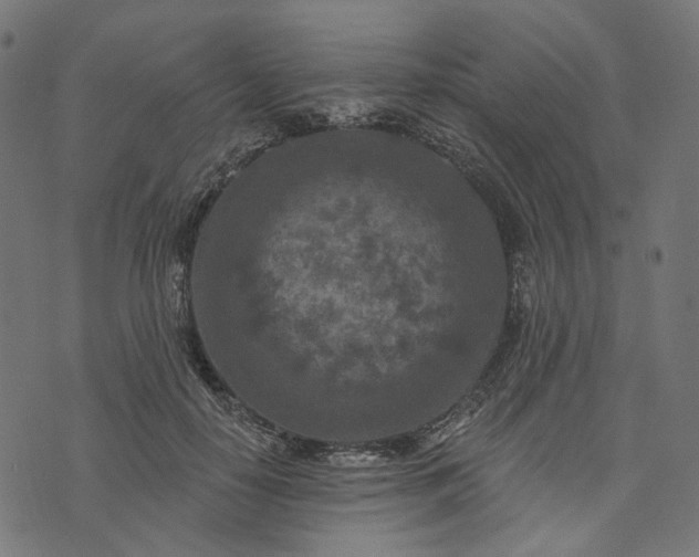 X0000073760650200608171357