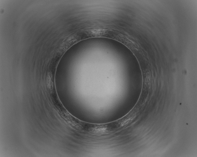 X0000073760651200608171357