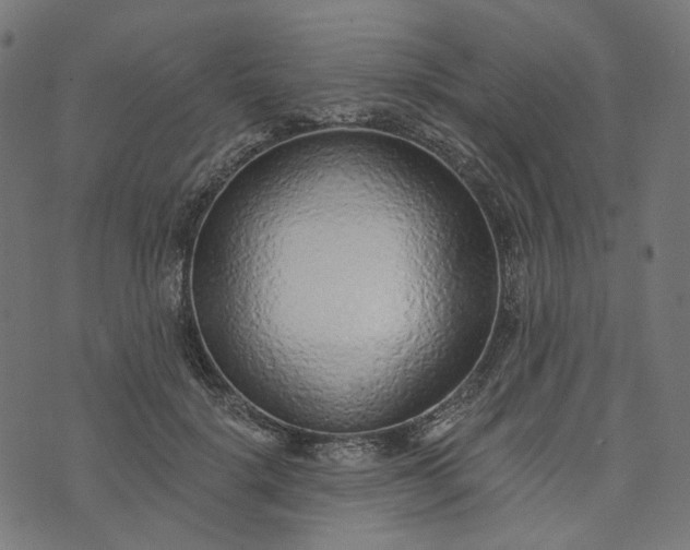 X0000073760652200608171357