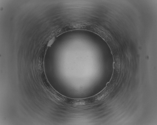 X0000073760653200608171357