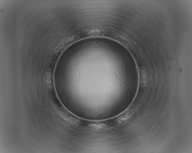 X0000073760654200608171357