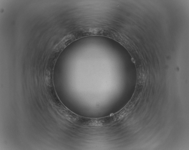 X0000073760656200608171357