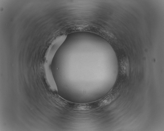 X0000073760657200608171358