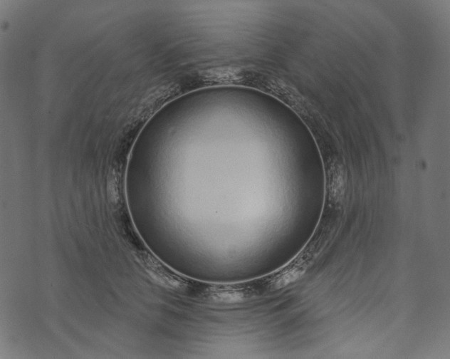 X0000073760658200608171358