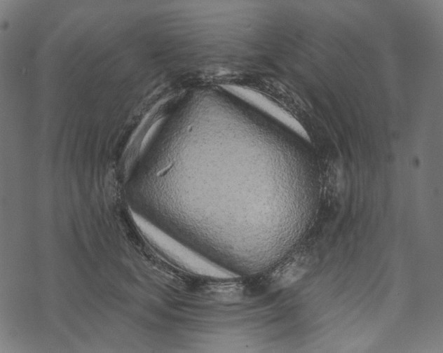 X0000073760659200608171358