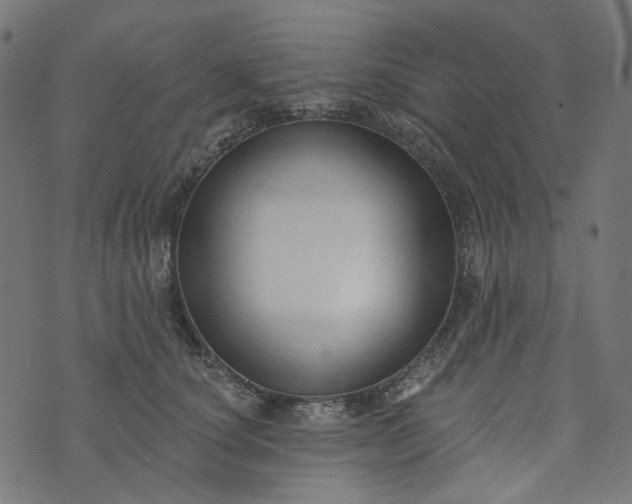 X0000073760660200608171358