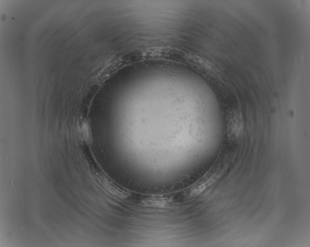 X0000073760661200608171358