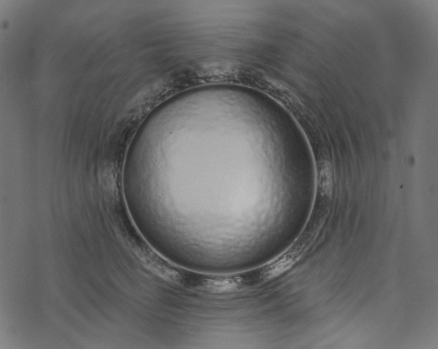 X0000073760662200608171358