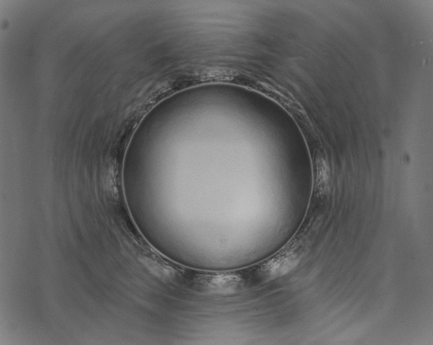 X0000073760663200608171358