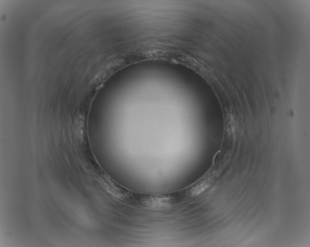 X0000073760664200608171358