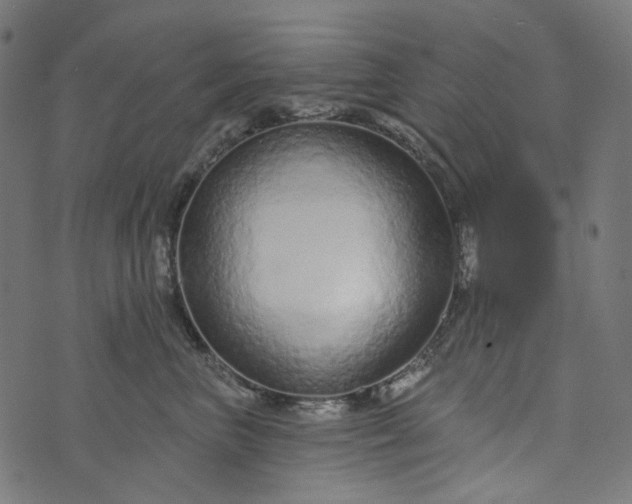 X0000073760667200608171358