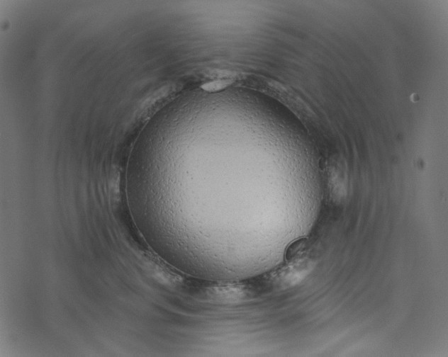 X0000073760668200608171358