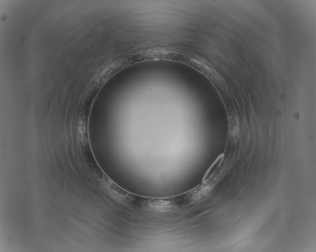 X0000073760669200608171358