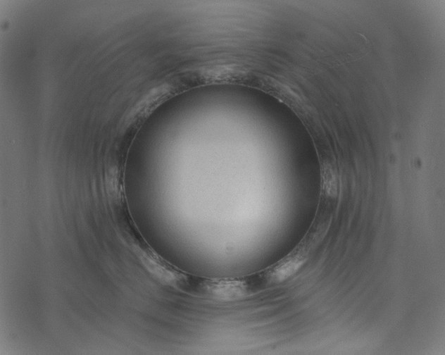 X0000073760670200608171358