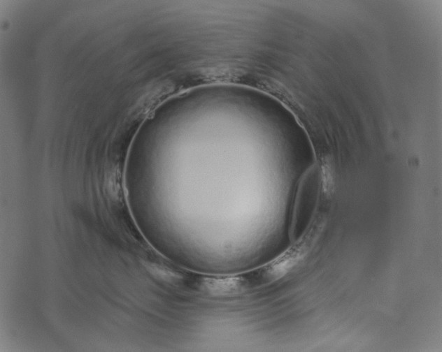 X0000073760671200608171358