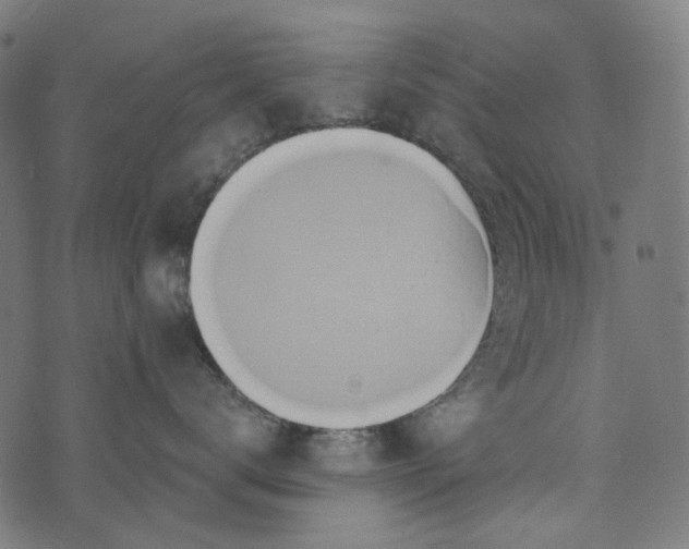 X0000073760672200608171358