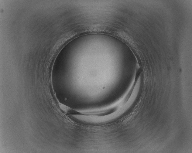 X0000073760673200608171357