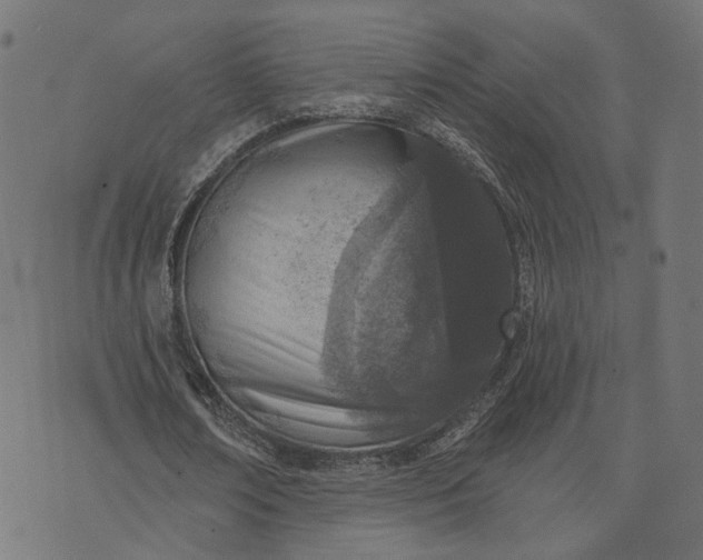 X0000073760674200608171357