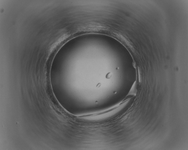 X0000073760675200608171357