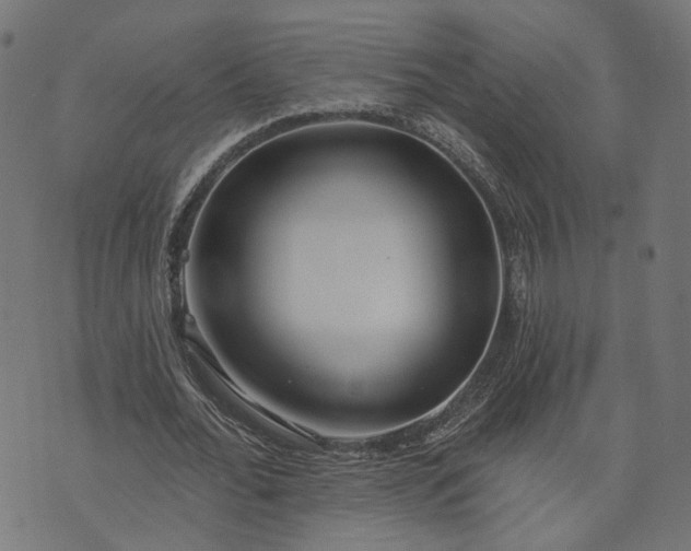 X0000073760676200608171357