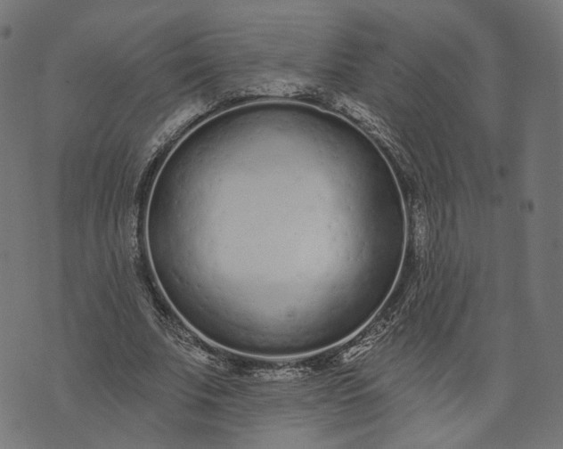 X0000073760679200608171357