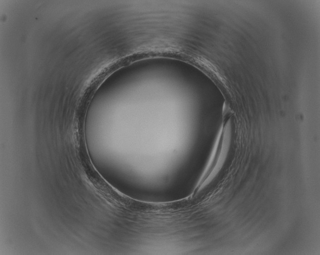 X0000073760680200608171357