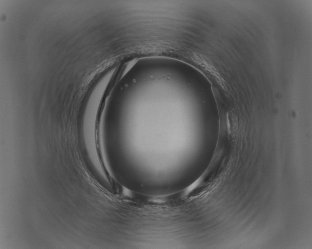 X0000073760681200608171357