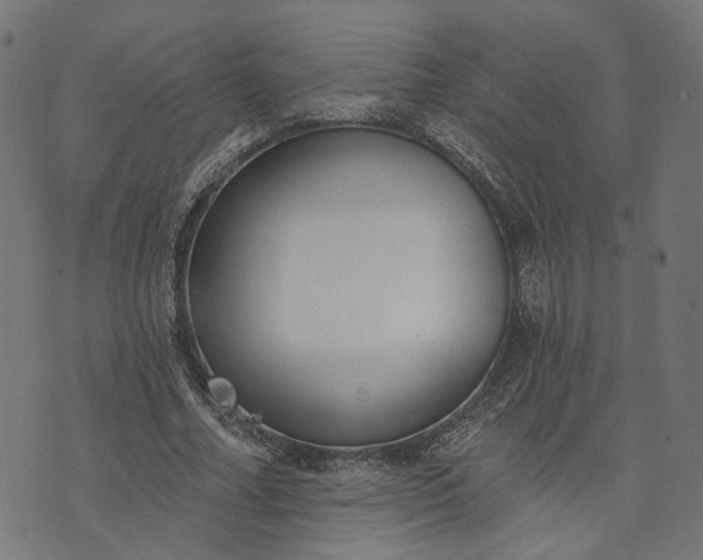 X0000073760682200608171357