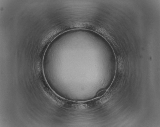 X0000073760683200608171357